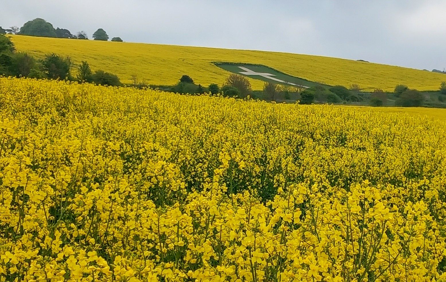 View of Lenham Cross